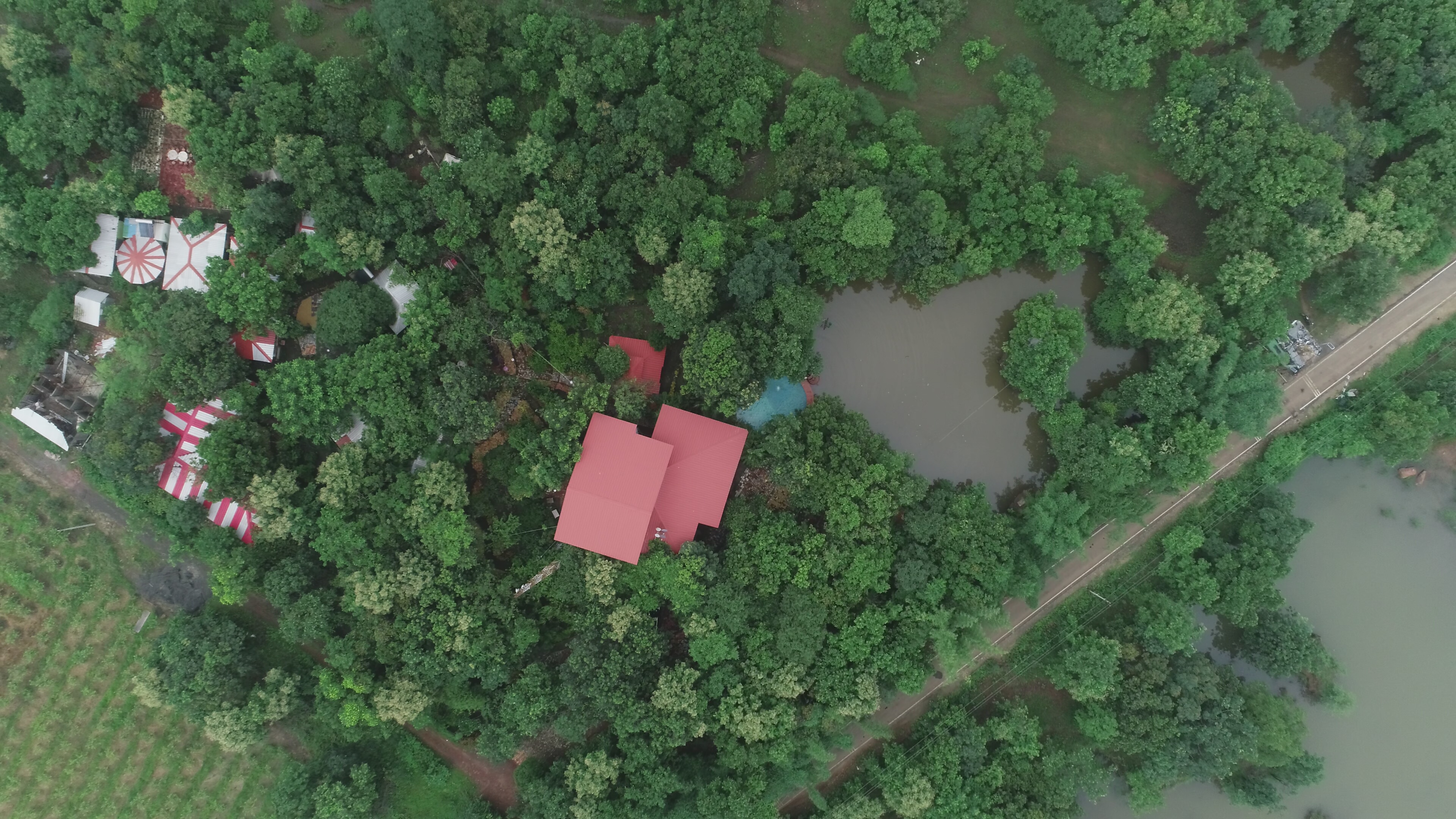 Forest Cottage