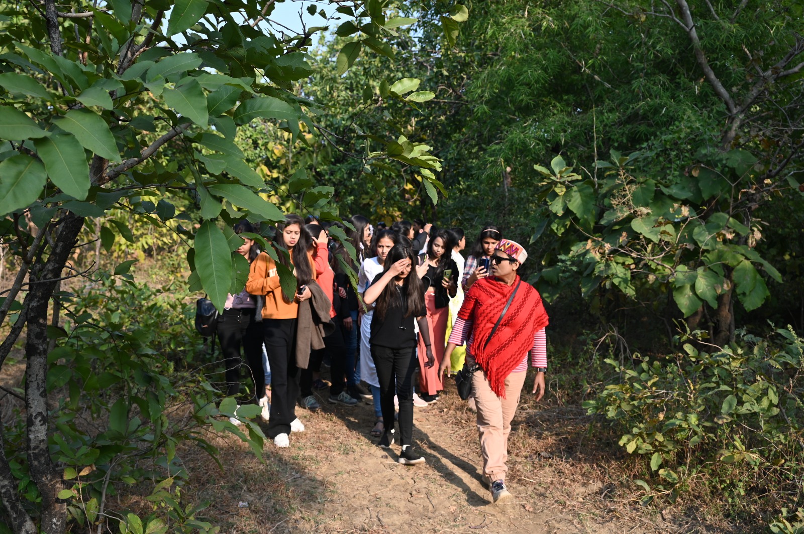 Forest Treks